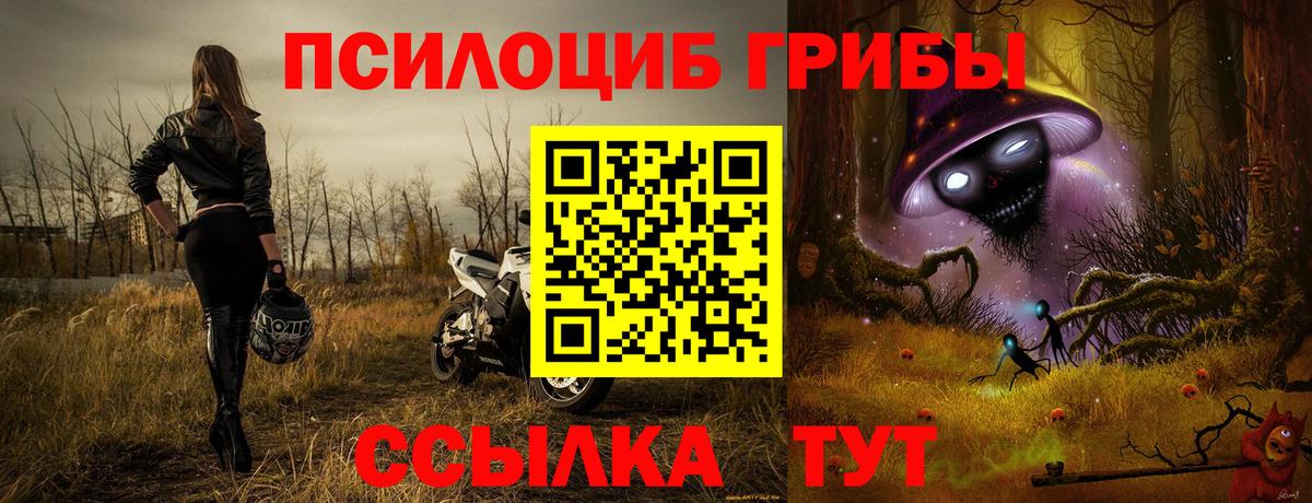 Галлюциногенные грибы мицелий  Вход с VPN  закладки  Канаш 