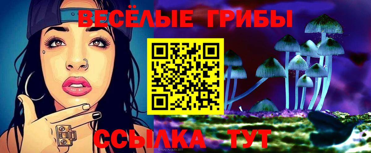 Псилоцибиновые грибы ЛСД Канаш